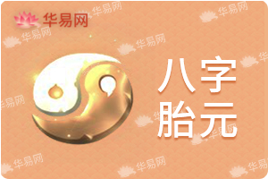 八字胎元