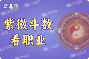 紫微鬥數看職業