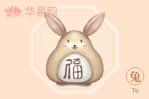 生肖兔