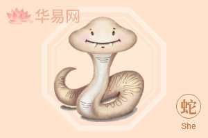 生肖蛇
