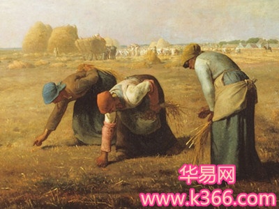 梦见拾麦穗的人