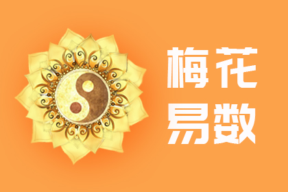 梅花易数排盘