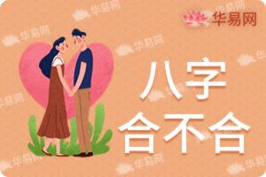 查八字