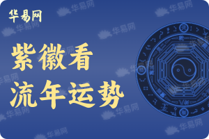 紫微斗数