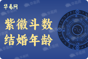 紫微斗数