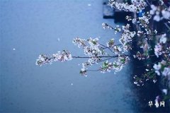 2025年壬戌日柱走什么运,壬戌日柱2025横财