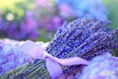 2024年元宵节时辰吉凶,2月24日今日吉时是几点