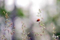 属兔买楼层买几楼最好：风水与楼层选择指南