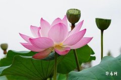 2024年正月初三出生男孩命运如何,五行缺什么