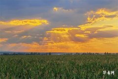 合八字要合几个最好,合八字结婚选日子