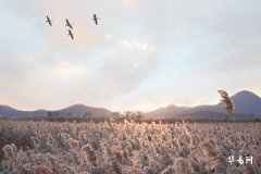 日柱偏官是什么意思,日坐偏官女大富大贵