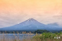 98年男虎和99年女兔八字合婚,虎怕兔还是兔怕虎