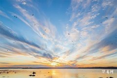 96年鼠和98虎八字合吗?2025鼠96女要注意什么