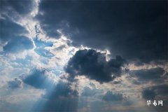 男人手指细长的人命运解析