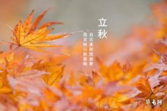 立秋后吃什么好？想润燥和增强免疫力分别推荐吃什么