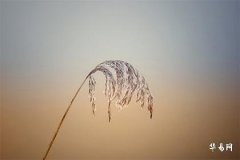 正月十六不能回娘家吗？揭开背后的民俗传统