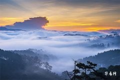 2025年癸巳日柱男婚姻如何,癸巳男命的正缘妻子