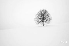 虚空藏菩萨最旺的三个属相：牛、虎、兔