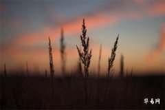 男人下巴有两瓣的命运：性格与运势解析