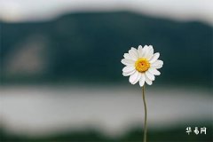 12月最吉利的结婚黄道吉日2022年查询