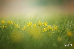 2025年壬戌日柱女有桃花吗,2025下半年桃花旺的日柱