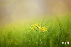 酉时日落是什么意思_酉时哪个阶段是吉时