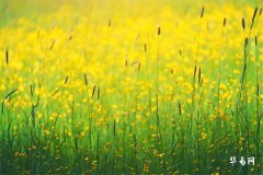 2024年元宵节开业好吗吉利吗,元宵节不能出远门