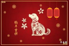 1982年属狗是什么命,82年狗43岁桃花劫是谁