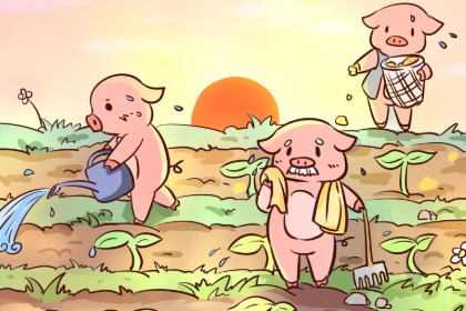 属鼠人猪年下半年的运气运势好不好？